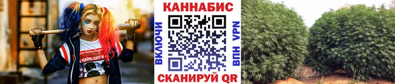 Купить закладки  Хабаровск  Каннабис Ganja 